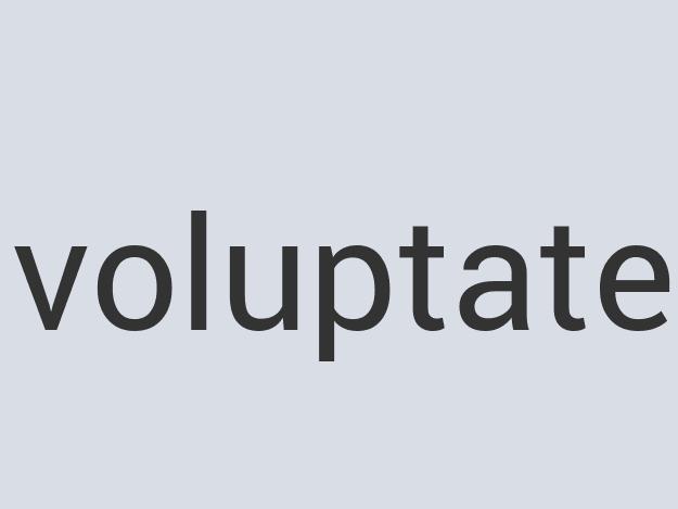 Ergonomic Wooden Porkscrew