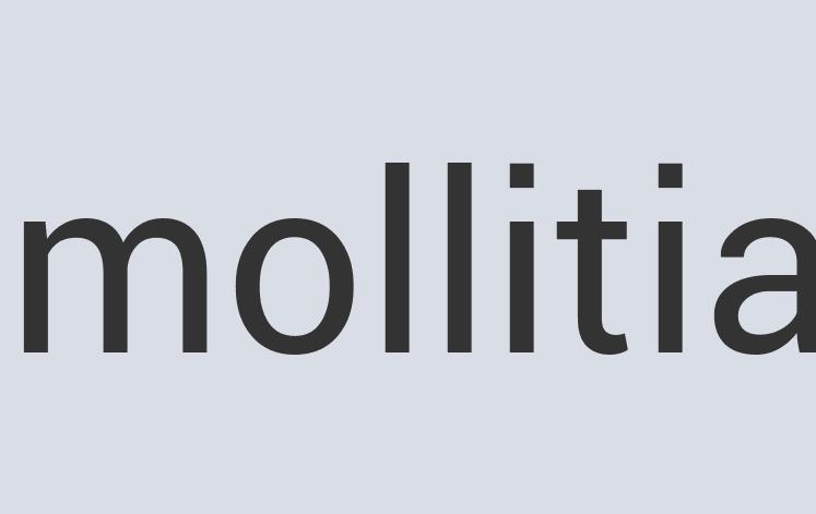 Heavy Duty Leather Develaport