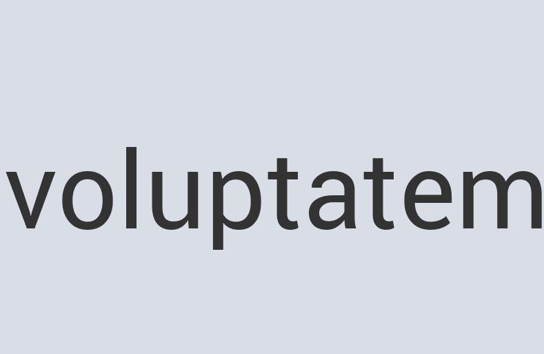 Heavy Duty Bronze The Sports Barge