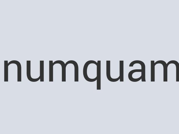 Incredible Paper Dot Donut
