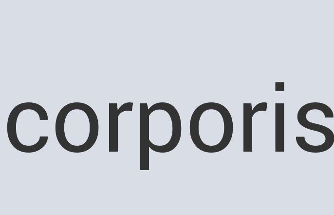 Practical Linen Hell 2Pay